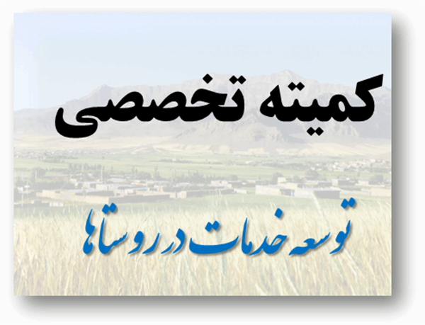 برگزاری دومین نشست کمیته تخصصی توسعه خدمات در روستاها